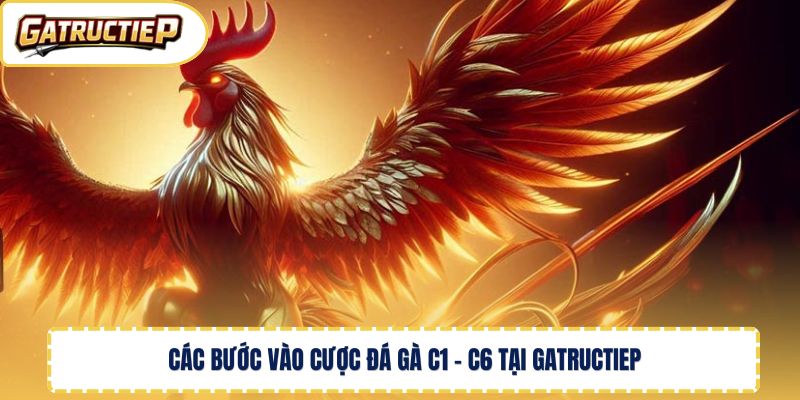 Các bước vào cược đá gà C1 - C6 tại Gatructiep 