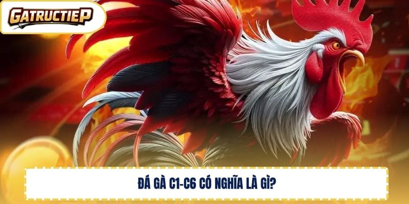 Đá gà C1-C6 có nghĩa là gì? Đá gà C1-C6 có nghĩa là gì? 