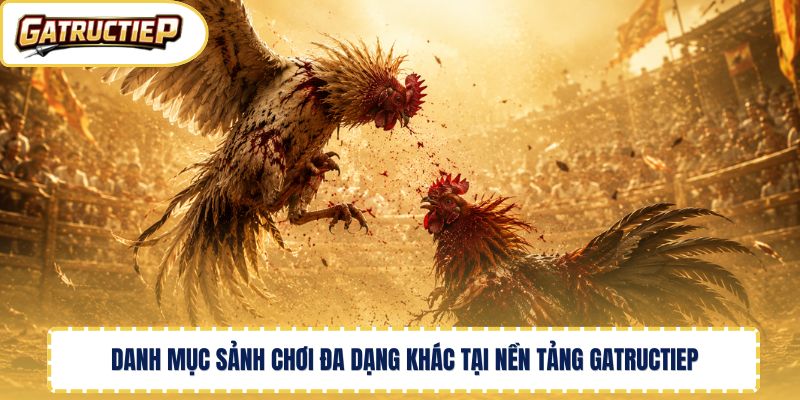 Danh mục sảnh chơi đa dạng khác tại nền tảng Gatructiep