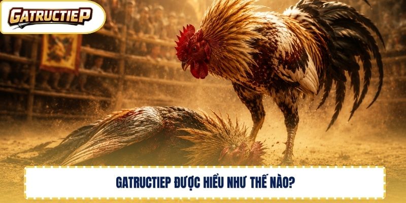 Gatructiep được hiểu như thế nào?