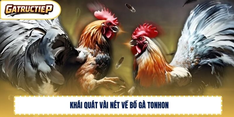 Khái quát vài nét về bồ gà Tonhon