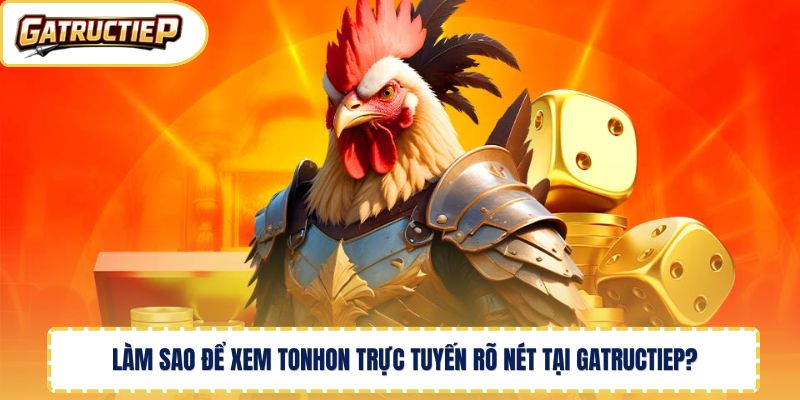Làm sao để xem Tonhon trực tuyến rõ nét tại Gatructiep? 